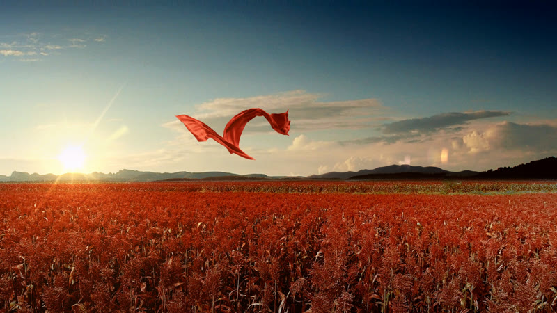 五粮液1218 产品TVC